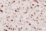 BRONZE BIANCO