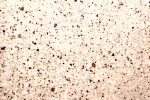 RAW SILK.2jpg