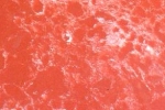 ROSA ONYX