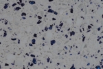 SAPPHIRE BIANCO